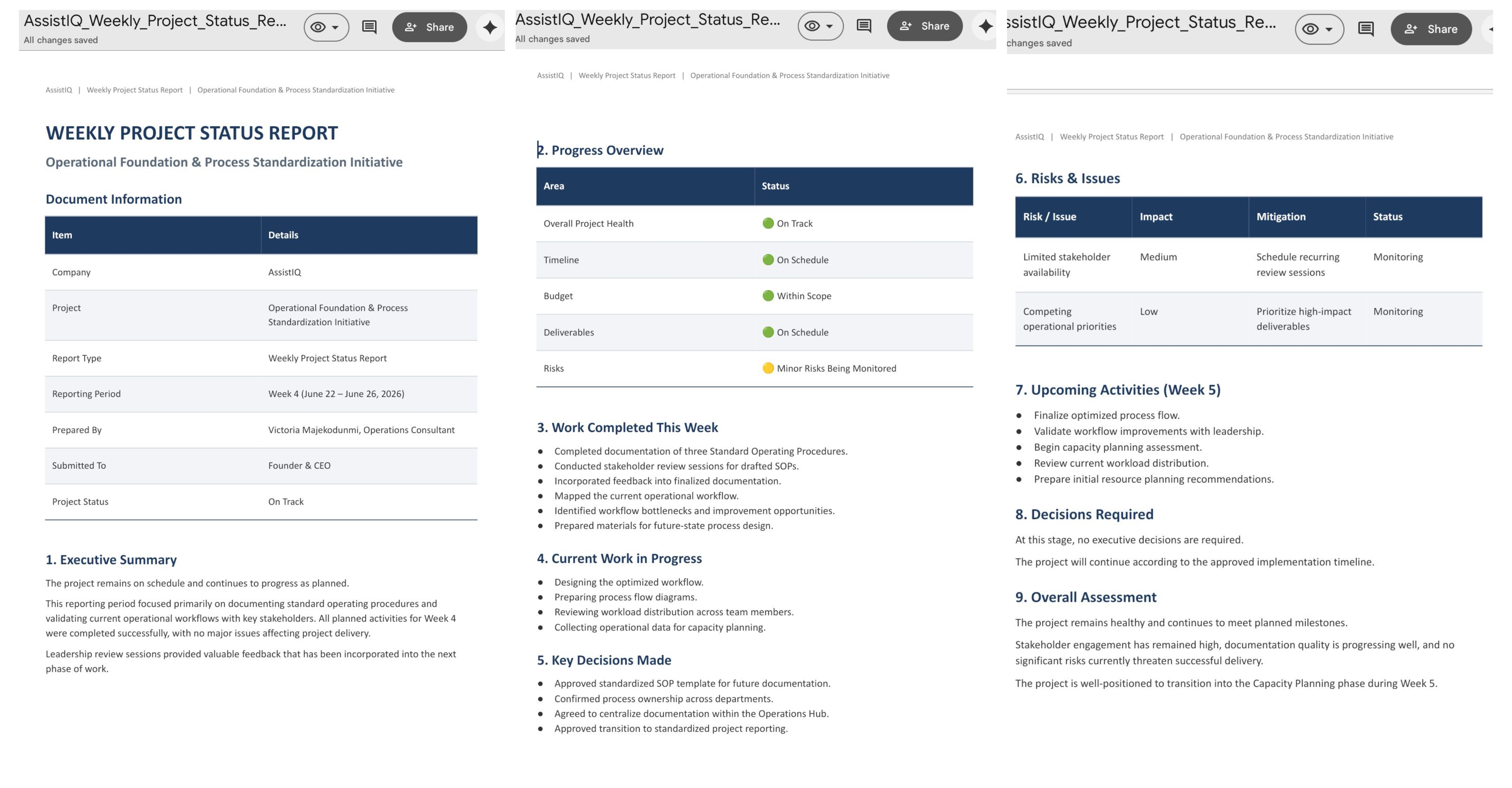 Weekly project status report